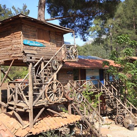 Kadir'S Top Tree Houses Олимпос Экстерьер фото